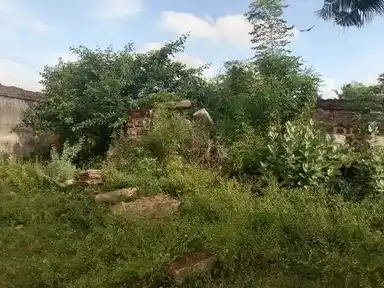 Arulmigu Balapureeswarar Temple, Kovilur, Alangudi Taluk - 622301 அருள்மிகு பாலபுரீஸ்வரர் திருக்கோயில், கோவிலூர், ஆலங்குடி வட்டம் - 622301, Pudukkottai - Ancient Temple Architecture and History Image 10