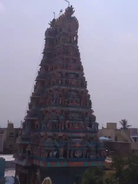 Arulmigu Balasaarduleeswarar Temple, Nellorepet, Gudiyatham - 632602 Temple