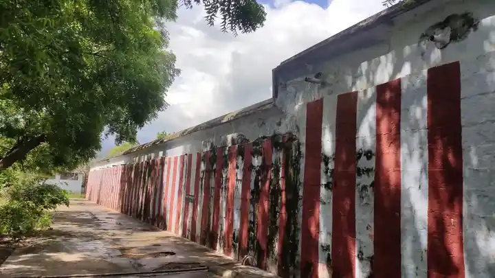 Arulmigu Balasubramaniya Swamy Temple, Puliyangudi - 627855