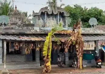 Arulmigu Balasubramaniya Swamy Temple, Vadacheri, Vadacheri - 614905 அருள்மிகு பாலசுப்ரமணிய சுவாமி திருக்கோயில், வடசேரி, வடசேரி - 614905, Thanjavur - Ancient Temple Architecture and History Image 2