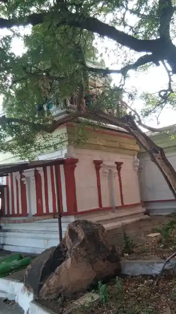 Arulmigu Balasubramaniyaswamy Temple, Kabilar Malai, Kabilakuruchi - 637204 அருள்மிகு பாலசுப்ரமணியசுவாமி திருக்கோயில், கபிலர்மலை, கபிலகுருச்சி - 637204, Namakkal - Ancient Temple Architecture and History Image 9