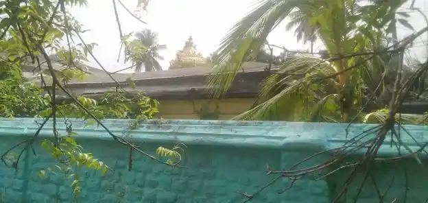 Arulmigu Balasubramaniyaswamy Temple, Padmanapapuram - 629175