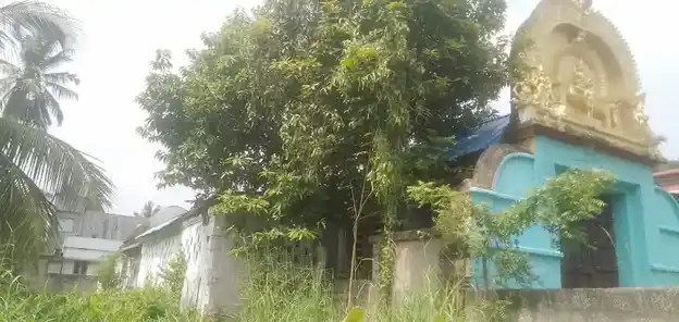 Arulmigu Balasubramaniyaswamy Temple, Padmanapapuram - 629175 அருள்மிகு பாலசுப்பிரமணிய சுவாமி திருக்கோயில், Padmanapapuram - 629175, Kanyakumari - Ancient Temple Architecture and History Image 4