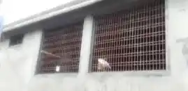 Arulmigu Balathadu Sudalai Mada Swamy Temple, Arugankulam, Arugankulam - 627757 அருள்மிகு பாலத்தடி சுடலைமாடசுவாமி திருக்கோயில், அருகன்குளம், அருகன்குளம் - 627757, Tirunelveli - Ancient Temple Architecture and History Image 4