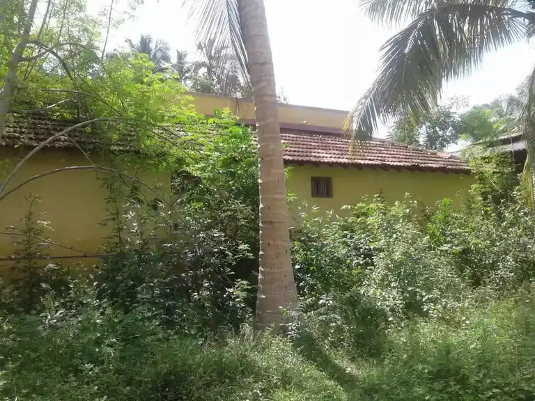 Arulmigu Balathandayuthapani Temple, Kuruvikkarambai - 614802 அருள்மிகு பாலதண்டாயுதபாணி திருக்கோயில், குருவிக்கரம்பை - 614802, Thanjavur - Ancient Temple Architecture and History Image 2