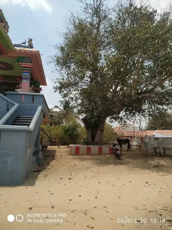 Arulmigu Balathandayuthapaniswamy And Venugobalasamy Temple, Idayarpalayam, Sulur - 641025 Arulmigu Balathandayuthapaniswamy And Venugobalasamy Temple, Idayarpalayam, Sulur - 641025, Coimbatore - Ancient Temple Architecture and History Image 6
