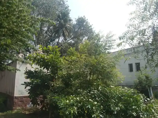 Arulmigu Balavinayagar Temple, Koomapatti, Koomapatti - 626133