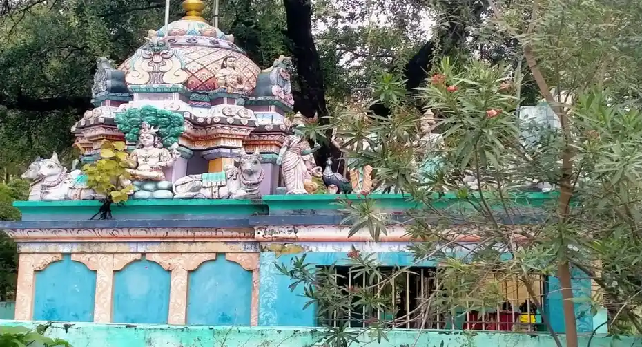 Arulmigu Balavinayagar Temple, Pazhaiya Thondanthulasi - 632302 அருள்மிகு பாலவிநாயகர் திருக்கோயில், பழையதொண்டான்துளசி - 632302, Vellore - Ancient Temple Architecture and History Image 4