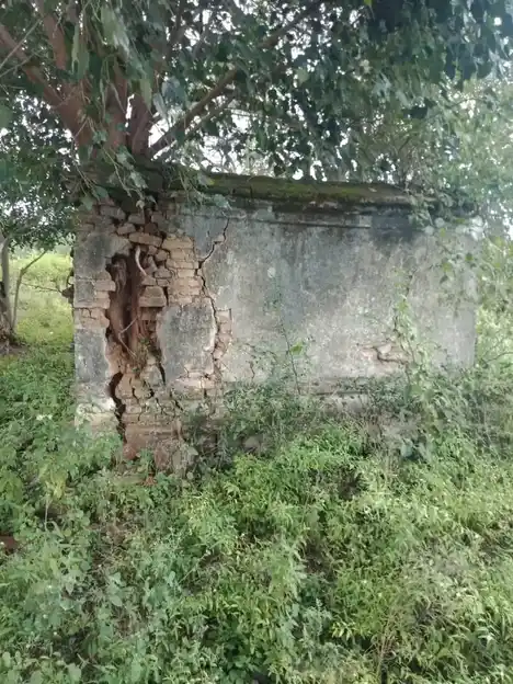 Arulmigu Banthirakaliamman Temple, Kittanoor - 635203 Temple
