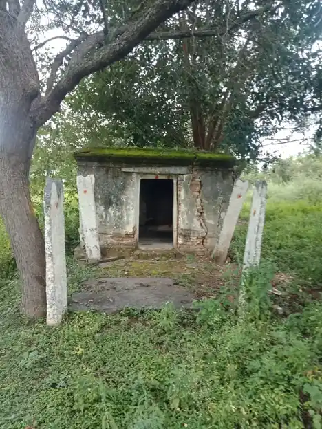 Arulmigu Banthirakaliamman Temple, Kittanoor - 635203 அருள்மிகு பத்திரகாளியம்மன் திருக்கோயில், கிட்டனூர் - 635203, Krishnagiri - Ancient Temple Architecture and History Image 3