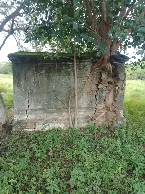 Arulmigu Banthirakaliamman Temple, Kittanoor - 635203 அருள்மிகு பத்திரகாளியம்மன் திருக்கோயில், கிட்டனூர் - 635203, Krishnagiri - Ancient Temple Architecture and History Image 4