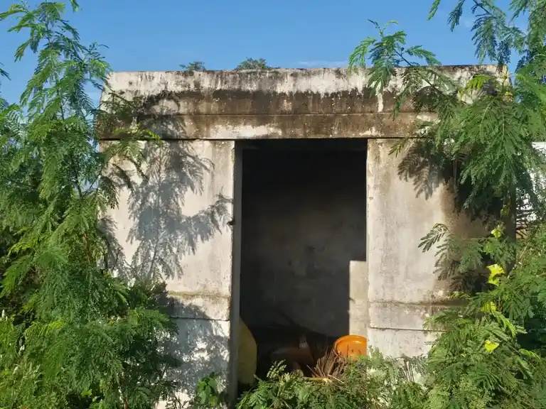 Arulmigu Basuvanna Swamy Temple, Nallur - 635118 அருள்மிகு பசவண்ணசாமி திருக்கோயில், Nallur - 635118, Krishnagiri - Ancient Temple Architecture and History Image 2