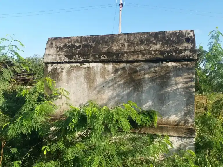 Arulmigu Basuvanna Swamy Temple, Nallur - 635118 அருள்மிகு பசவண்ணசாமி திருக்கோயில், Nallur - 635118, Krishnagiri - Ancient Temple Architecture and History Image 3