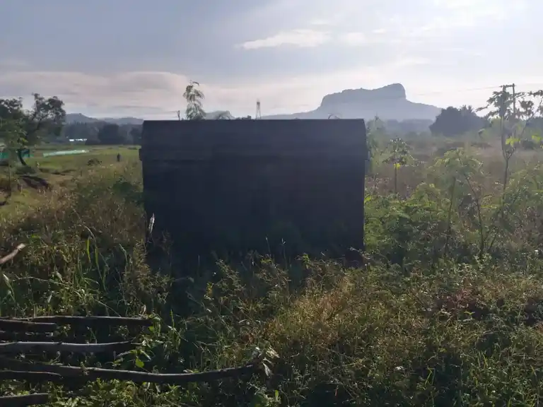 Arulmigu Basuvanna Swamy Temple, Nallur - 635118 அருள்மிகு பசவண்ணசாமி திருக்கோயில், Nallur - 635118, Krishnagiri - Ancient Temple Architecture and History Image 4