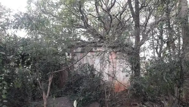 Arulmigu Basuvesrar Temple, Nagamangalam - 635113 அருள்மிகு பசவேஸ்வரர் திருக்கோயில், Nagamangalam - 635113, Krishnagiri - Ancient Temple Architecture and History Image 3