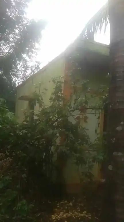 Arulmigu Basuveswarar Swamy Temple, Gopachandram - 635107 அருள்மிகு பசவேஸ்வரர் திருக்கோயில், Gopachandram - 635107, Krishnagiri - Ancient Temple Architecture and History Image 3