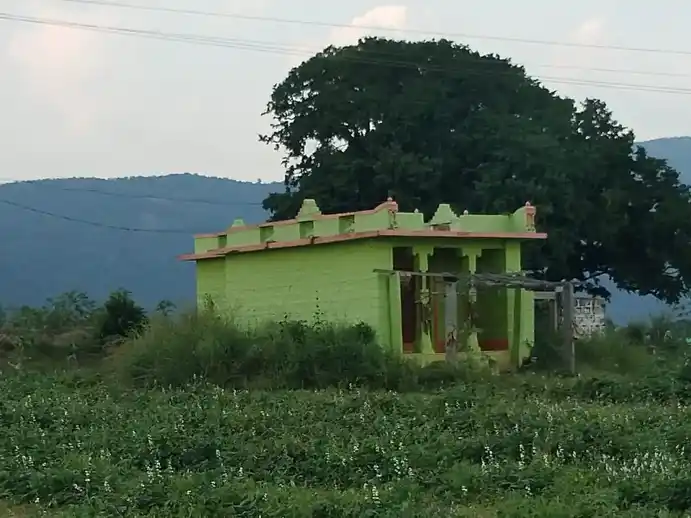 Arulmigu Basuveswarar Temple, Beernapalli - 635102 அருள்மிகு பசவேஸ்வரர் திருக்கோயில், Beernapalli - 635102, Krishnagiri - Ancient Temple Architecture and History Image 7