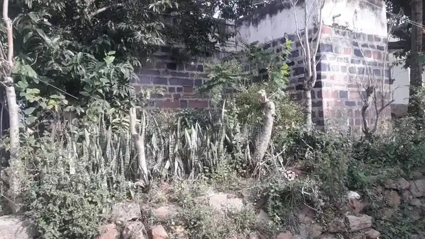 Arulmigu Basuveswarar Temple, Biramangalam - 635113 அருள்மிகு பசவேஸ்வரர் திருக்கோயில், Biramangalam - 635113, Krishnagiri - Ancient Temple Architecture and History Image 3