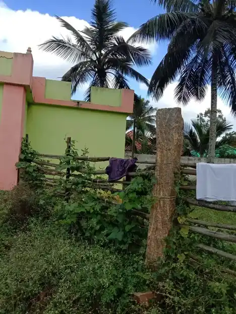 Arulmigu Basuveswarar Temple, Kempatti - 635114 Temple
