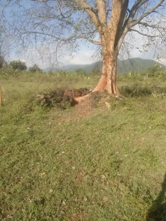 Arulmigu Bathirakaliamman Temple, Mettupalayam - 641301