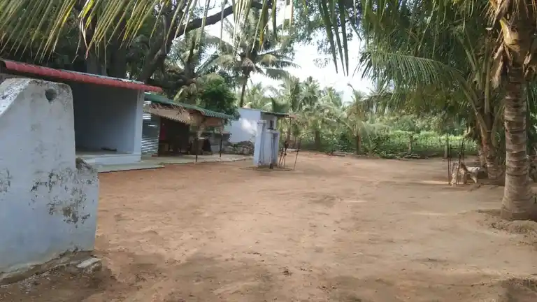 Arulmigu Bathirakaliamman Temple, Vellimalaipattinam - 642123