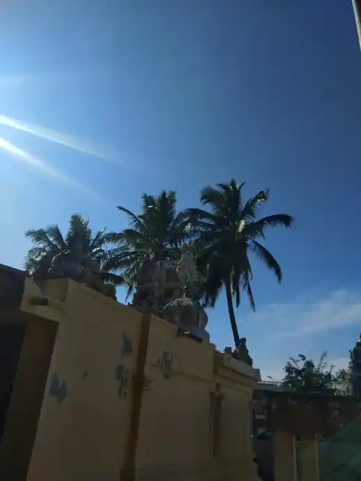 Arulmigu Bathrakaliamman Sri Ganavelmurugar Temple, Singanallur, Coimbatore - 641005 அருள்மிகு பத்ரகாளியம்மன் திருக்கோயில், Singanallur, Coimbatore - 641005, Coimbatore - Ancient Temple Architecture and History Image 6