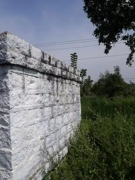 Arulmigu Bathrakaliamman Temple, Virakkal - 636454 அருள்மிகு பத்ரகாளியம்மன் திருக்கோயில், Virakkal - 636454, Salem - Ancient Temple Architecture and History Image 3