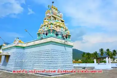 Arulmigu Bathrakaliyamman Temple, Sellipalayam, Chellipalayam - 638401 அருள்மிகு பத்ரகாளியம்மன் திருக்கோயில், செல்லிபாளையம், Chellipalayam - 638401, Erode - Ancient Temple Architecture and History Image 9