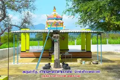Arulmigu Bathrakaliyamman Temple, Sellipalayam, Chellipalayam - 638401 அருள்மிகு பத்ரகாளியம்மன் திருக்கோயில், செல்லிபாளையம், Chellipalayam - 638401, Erode - Ancient Temple Architecture and History Image 19
