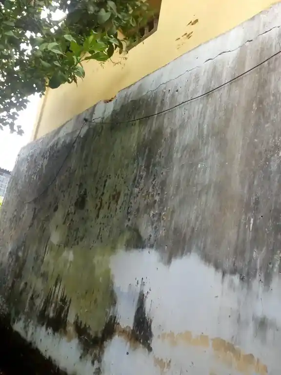 Arulmigu Batrakaliamman Temple, Kadukarai, Antharapuram - 629851