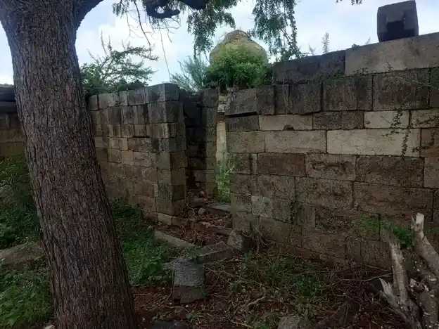 Arulmigu Bavaneeshwarar Temple, Ponpetthi - 614629 அருள்மிகு பவானீஸ்வரர் திருக்கோயில், பொன்பேத்தி, ஆவுடையார்கோவில் வட்டம் - 614629, Pudukkottai - Ancient Temple Architecture and History Image 3