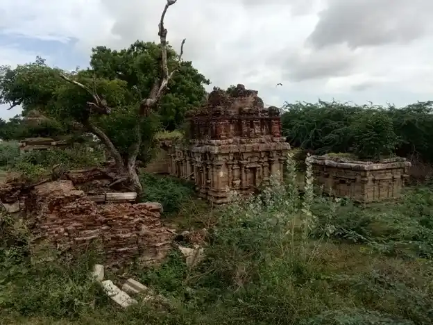 Arulmigu Bavaneeshwarar Temple, Ponpetthi - 614629 அருள்மிகு பவானீஸ்வரர் திருக்கோயில், பொன்பேத்தி, ஆவுடையார்கோவில் வட்டம் - 614629, Pudukkottai - Ancient Temple Architecture and History Image 4