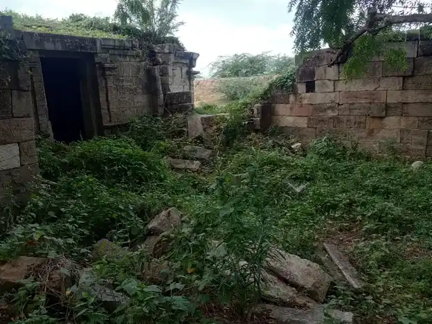 Arulmigu Bavaneeshwarar Temple, Ponpetthi - 614629 அருள்மிகு பவானீஸ்வரர் திருக்கோயில், பொன்பேத்தி, ஆவுடையார்கோவில் வட்டம் - 614629, Pudukkottai - Ancient Temple Architecture and History Image 6