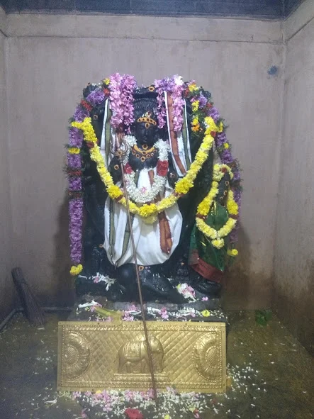 அருள்மிகு பவஔஷதீஸ்வரர் திருக்கோயில், திருத்துறைப்பூண்டி - 614713 - Main View