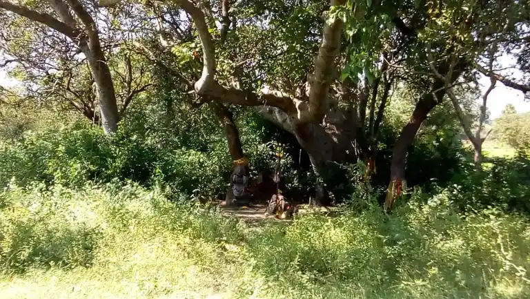 Arulmigu Beemeswarar Temple, Thandarai, Thandarai - 606806 Arulmigu Beemeswarar Temple, Thandarai, Thandarai - 606806, Tiruvannamalai - Ancient Temple Architecture and History Image 2