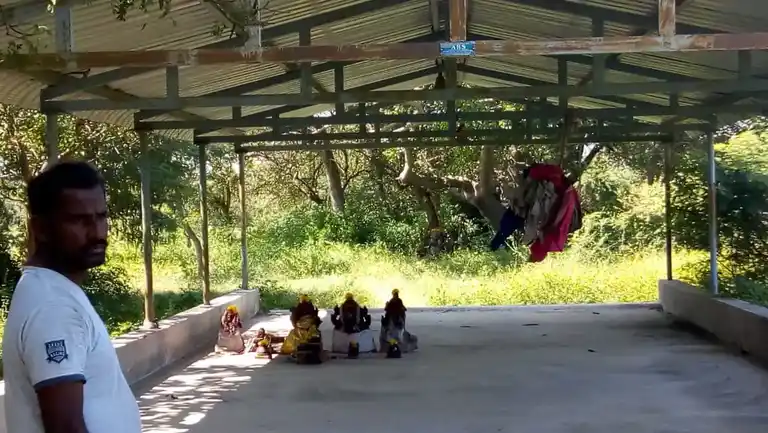Arulmigu Beemeswarar Temple, Thandarai, Thandarai - 606806 Arulmigu Beemeswarar Temple, Thandarai, Thandarai - 606806, Tiruvannamalai - Ancient Temple Architecture and History Image 3