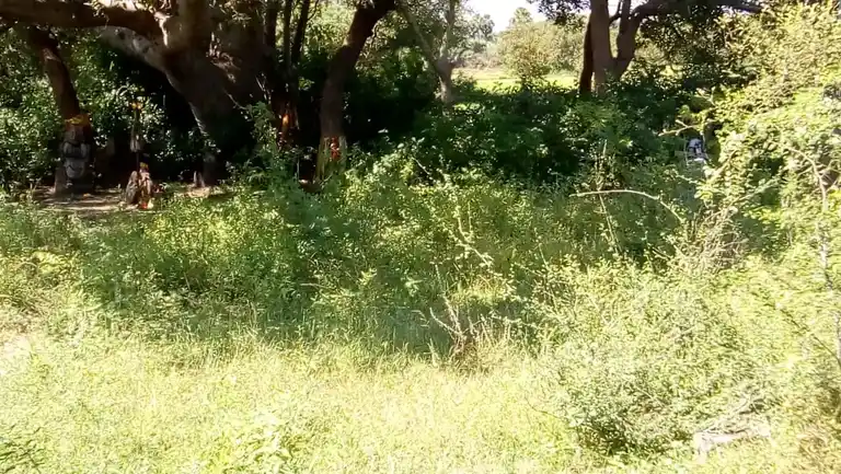 Arulmigu Beemeswarar Temple, Thandarai, Thandarai - 606806 Arulmigu Beemeswarar Temple, Thandarai, Thandarai - 606806, Tiruvannamalai - Ancient Temple Architecture and History Image 5