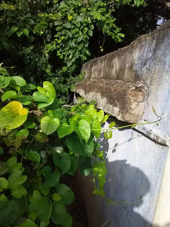 Arulmigu Beerjepalli Thimmarayaswamy Temple, Beerjepalli - 635119 Temple