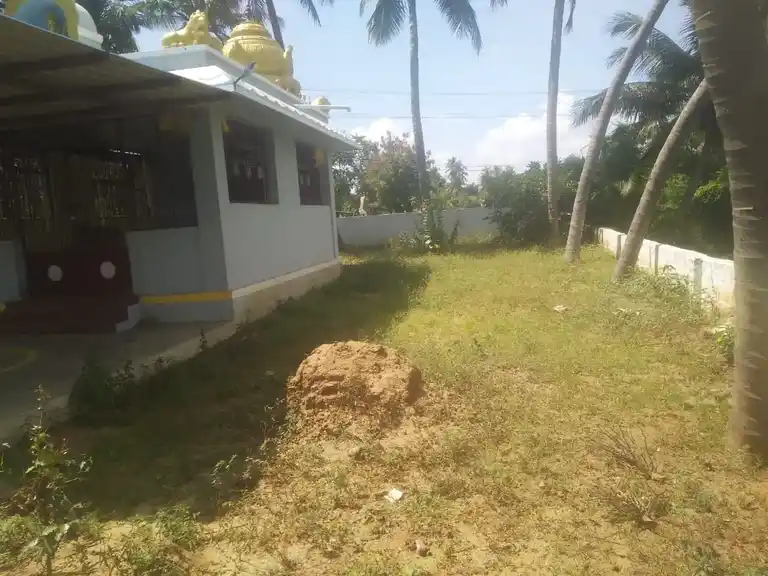 Arulmigu Bhagavathiyamman Temple, Renganathapuram - 639202 அருள்மிகு பகவதியம்மன் திருக்கோயில்,  - 639202, Karur - Ancient Temple Architecture and History Image 3