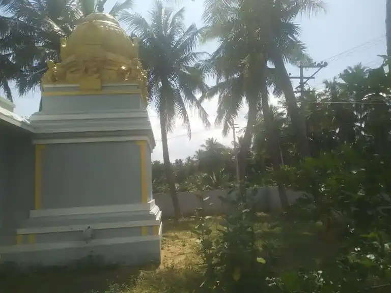 Arulmigu Bhagavathiyamman Temple, Renganathapuram - 639202 அருள்மிகு பகவதியம்மன் திருக்கோயில்,  - 639202, Karur - Ancient Temple Architecture and History Image 5