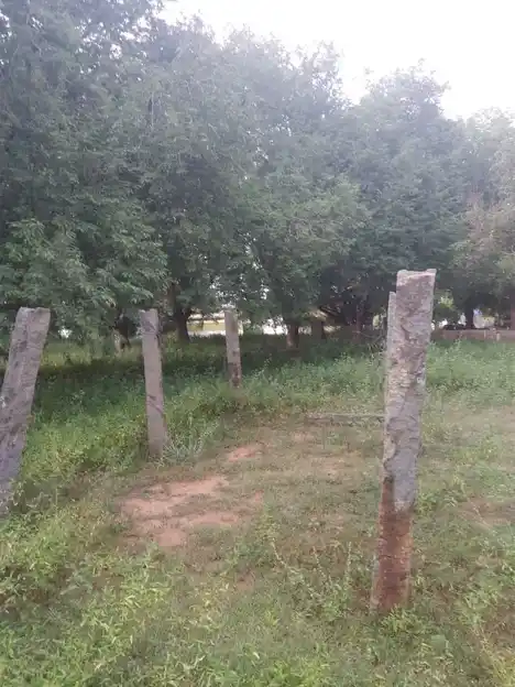 Arulmigu Bhagavathiyamman Temple, Thethour - 621311