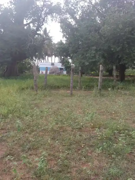 Arulmigu Bhagavathiyamman Temple, Thethour - 621311 Arulmigu Bhagavathiyamman Temple, Thethour - 621311, Thiruchirappalli - Ancient Temple Architecture and History Image 3