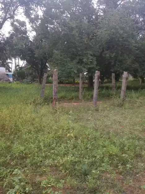 Arulmigu Bhagavathiyamman Temple, Thethour - 621311 Arulmigu Bhagavathiyamman Temple, Thethour - 621311, Thiruchirappalli - Ancient Temple Architecture and History Image 4