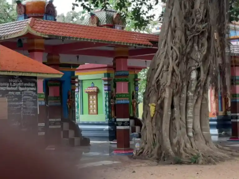 Arulmigu Bhatharesvariyamman Temple, Puthukadai, Alankulam - 629171 அருள்மிகு பத்ரேஸ்வரி அம்மன் திருக்கோயில், Puthukadai, Alankulam - 629171, Kanyakumari - Ancient Temple Architecture and History Image 3