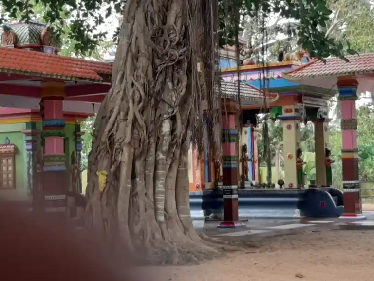 Arulmigu Bhatharesvariyamman Temple, Puthukadai, Alankulam - 629171 அருள்மிகு பத்ரேஸ்வரி அம்மன் திருக்கோயில், Puthukadai, Alankulam - 629171, Kanyakumari - Ancient Temple Architecture and History Image 4