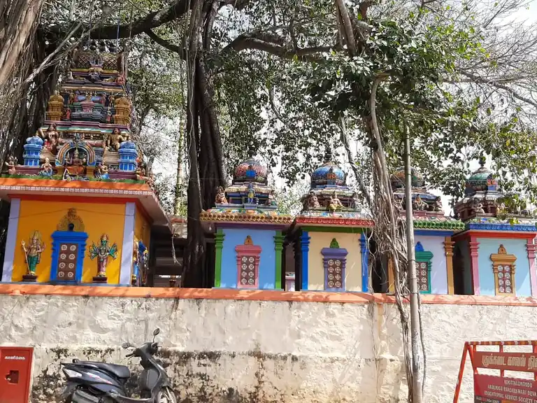 Arulmigu Bhathrakaliamman Temple, Painkulam, Kootalumoodu - 629171 அருள்மிகு பத்ரகாளியம்மன் திருக்கோயில், Painkulam, Kootalumoodu - 629171, Kanyakumari - Ancient Temple Architecture and History Image 3