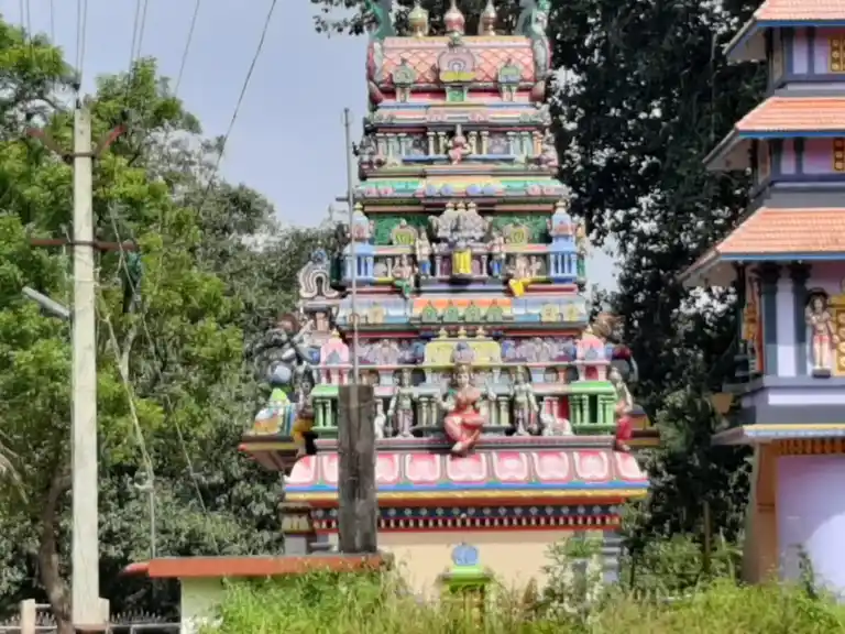 Arulmigu Bhathrakaliamman Temple, Painkulam, Puthukadai - 629171