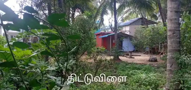 Arulmigu Bhatrakaliamman And Sudalaimadasamy Temple, Thituvilai, Boothapandi - 629852