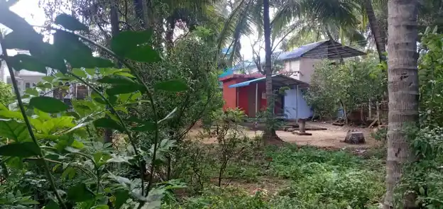 Arulmigu Bhatrakaliamman And Sudalaimadasamy Temple, Thituvilai, Boothapandi - 629852 அருள்மிகு பத்ரகாளியம்மன் மற்றும் சுடலைமாடசாமி திருக்கோயில், Thituvilai, Boothapandi - 629852, Kanyakumari - Ancient Temple Architecture and History Image 3