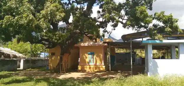 Arulmigu Bhatrakaliamman Temple, Kannanputhoor, Chenbagaramanputhoor - 629301 அருள்மிகு பத்ரகாளியம்மன் திருக்கோயில், Kannanputhoor, Chenbagaramanputhoor - 629301, Kanyakumari - Ancient Temple Architecture and History Image 4